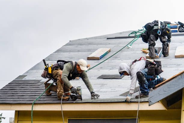 Professional Roofing technician working in Mc David, FL
